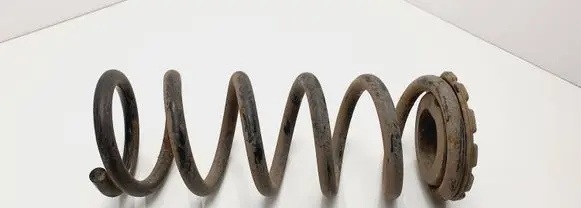 Infiniti FX Rear coil spring 55036WL000