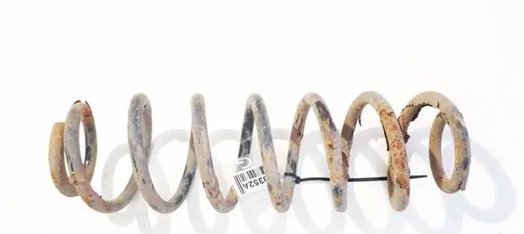 Skoda Roomster (5J) Rear coil spring