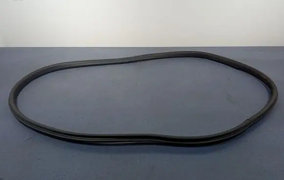 Ford Puma Front door rubber seal L1TBS253A10