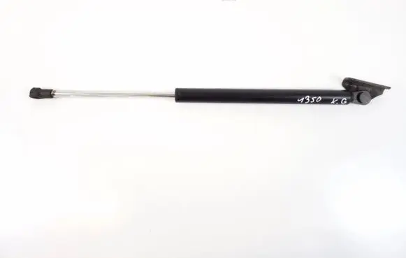 Tailgate strut
