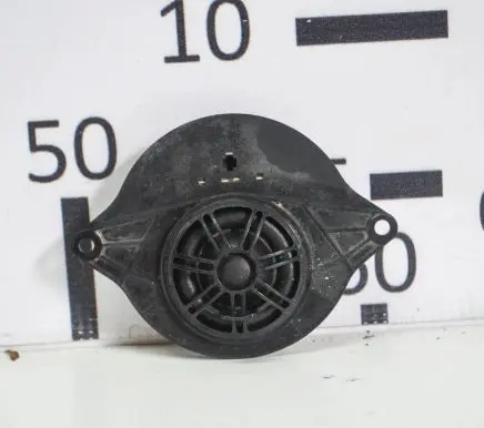 Panel speaker