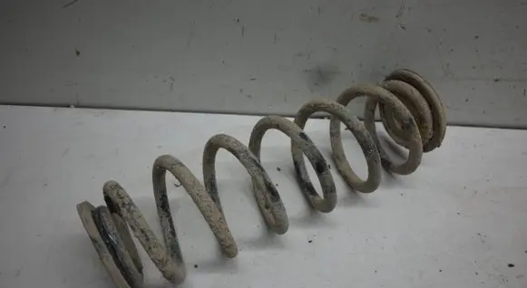 Volkswagen Tiguan Rear coil spring 