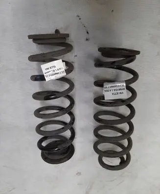 Rear coil spring