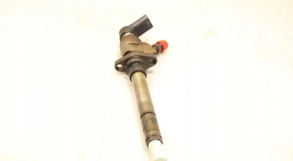 Ford C-MAX I Fuel injector