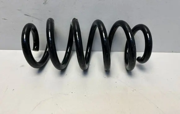 Rear coil spring