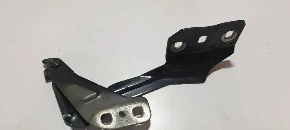 Ford Fusion II Engine bonnet/hood hinges DS73F16801AB JA123 30022