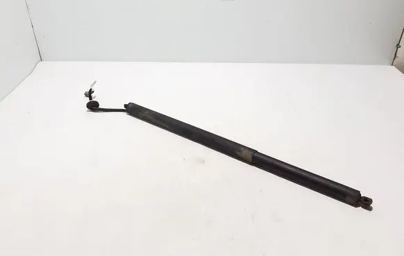 Ford Mach-E I Tailgate strut LJ8BR402A55AE