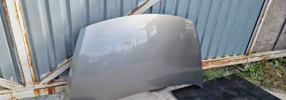 Engine bonnet/hood