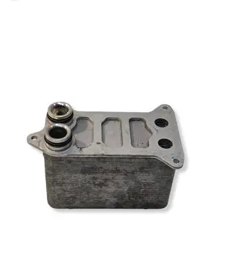 Tesla Model 3 Coolant radiator 152300300B BI222420240201