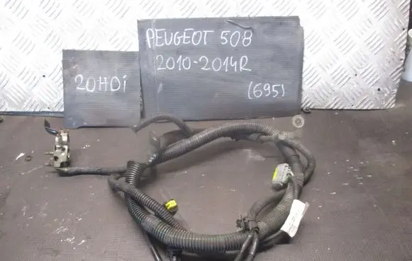 Peugeot 508 Negative earth cable (battery) 9673227280