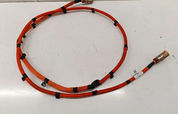 Mercedes-Benz EQE v295 Other wiring loom A2955402803