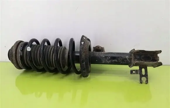 Opel Zafira B Front shock absorber with coil spring 22214012