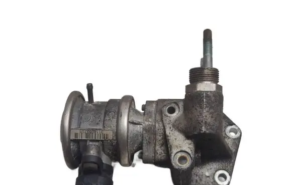 Volkswagen New Beetle EGR valve 06A131229