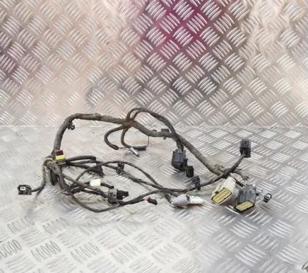 Tesla Model S Other wiring loom 100531204N