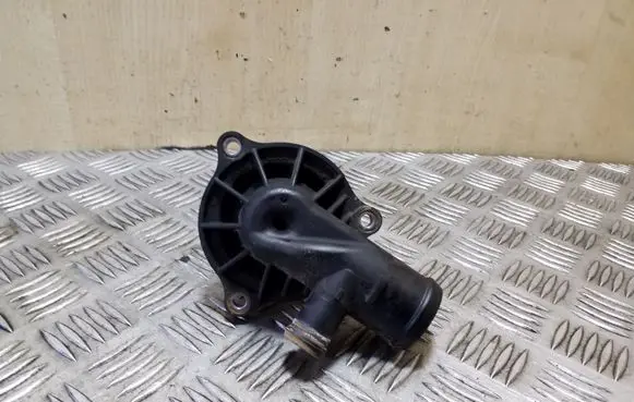 Thermostat/thermostat housing