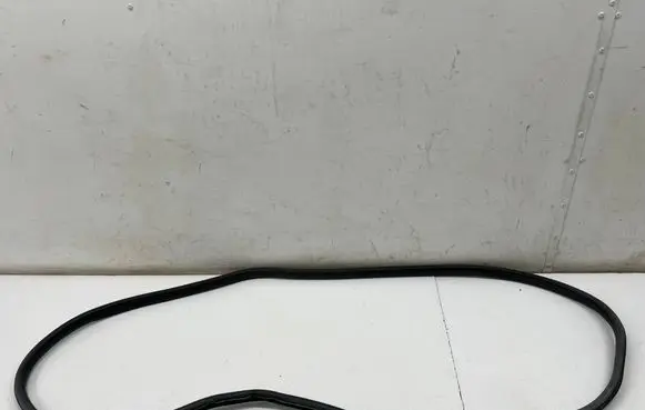MG ZS Front door rubber seal 