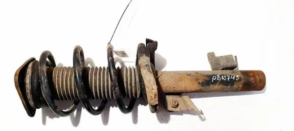 Ford Focus C-MAX Front shock absorber/damper 