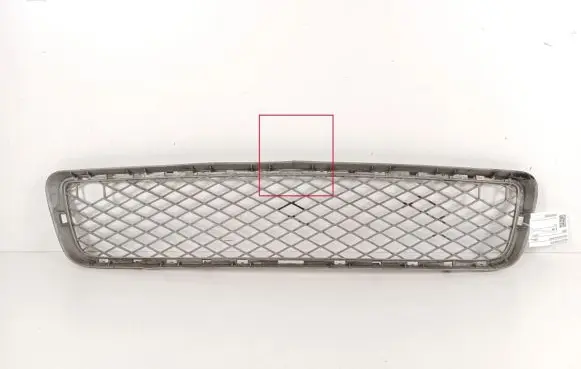 BMW X5 E70 Front bumper lower grill 7163956