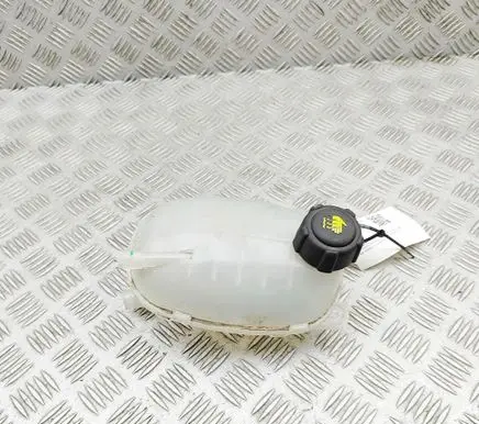 Renault Arkana Coolant expansion tank/reservoir 217102572R