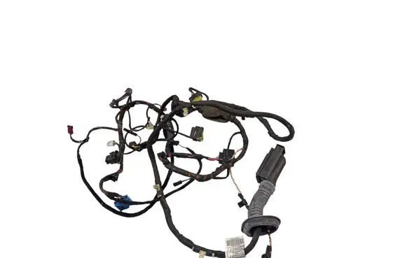 Engine installation wiring loom