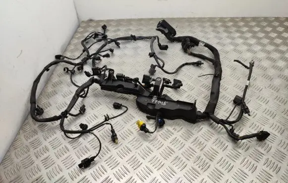 Engine installation wiring loom