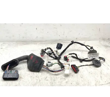 Ford Fiesta Front door wiring loom EE01E12511817000 EE01E1251161 C12556121