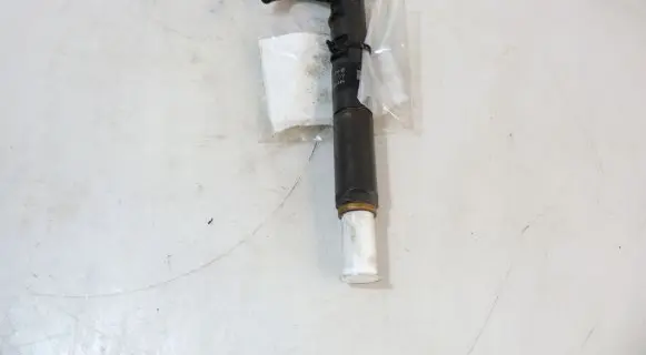 Renault Megane III Fuel injector