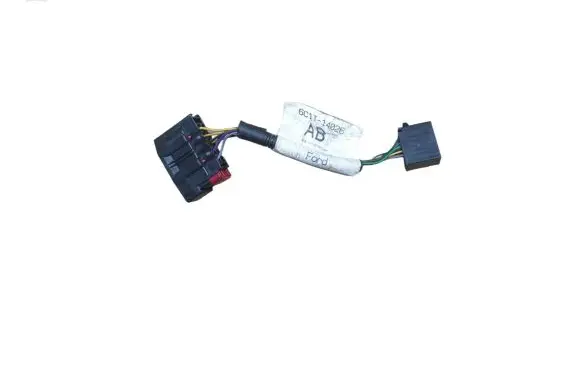 Rear door wiring loom