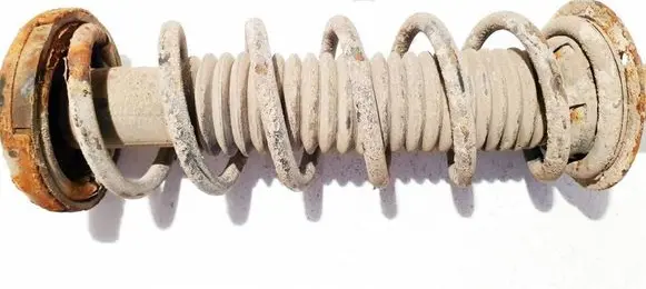 Rear coil spring