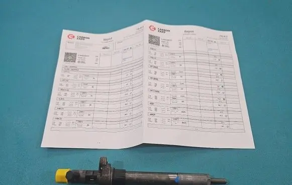Citroen C5 Fuel injector EJBR03801D IMPRK1470746