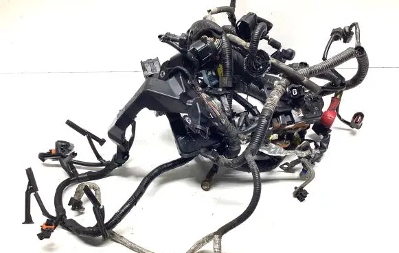 Nissan Qashqai Engine installation wiring loom 24011BB01E