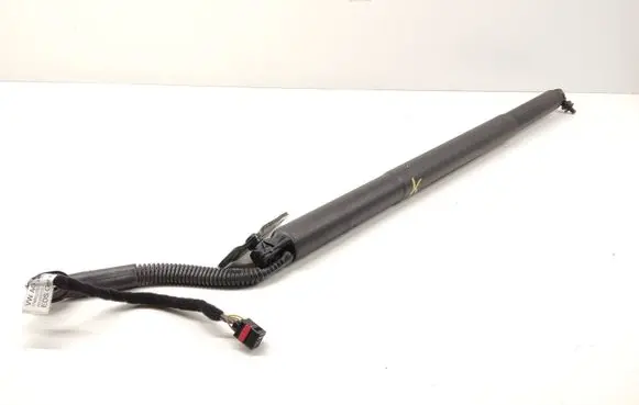 Tailgate strut