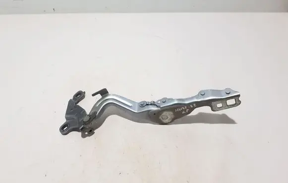 Ford Mustang Mach-E Engine bonnet/hood hinges LJ8BR16C965AE