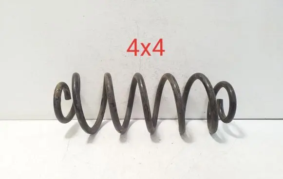 Rear coil spring