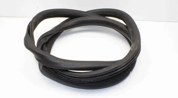 Ford Mustang Mach-E Rubber seal front coupe door LJ8BR20708AA