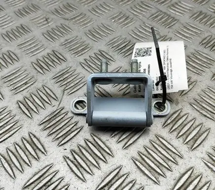 Tailgate/trunk/boot hinge