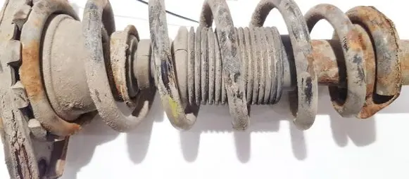 Nissan Primera Rear coil spring