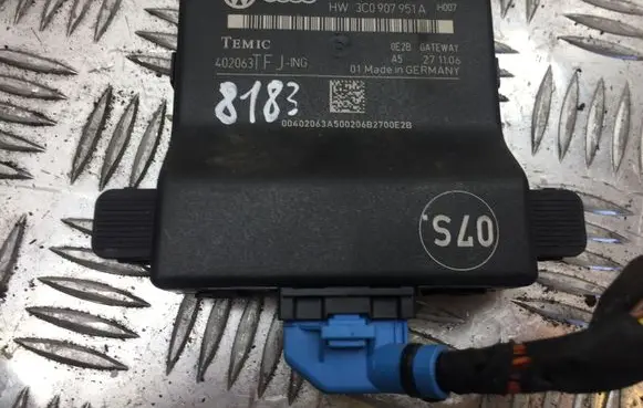 Volkswagen PASSAT B6 Gateway control module 3C0907530C 8183