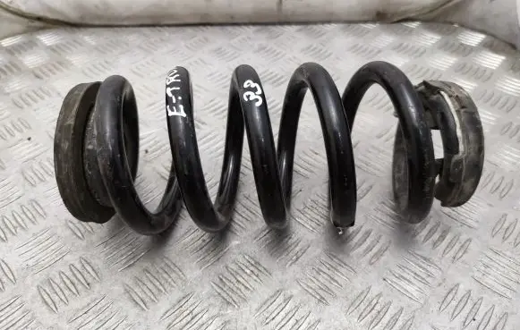 Rear coil spring