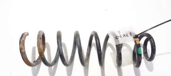 Renault Megane II Rear coil spring