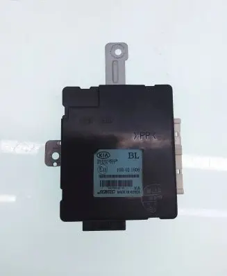 KIA Sorento Other control units/modules 954003E310 10R021806