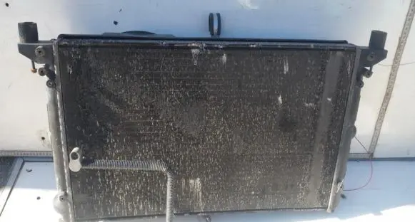 Volkswagen Sharan Coolant radiator 7m3121253g