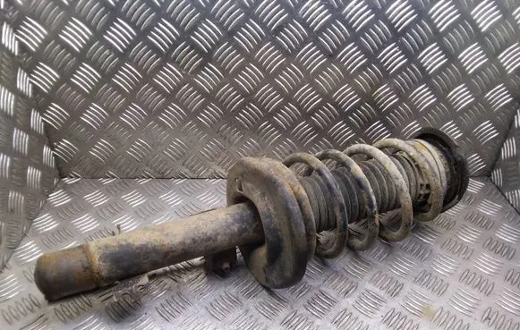 Peugeot 207 Front shock absorber with coil spring