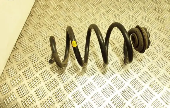 Nissan X-Trail T31 Rear coil spring