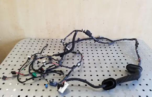 Tesla Model 3 Front door wiring loom 306796302C