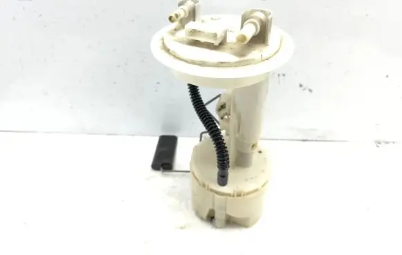 Renault Avantime In-tank fuel pump 6025304881 09751529900