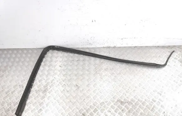 Nissan Pathfinder R50 Rubber seal front door (on door) 