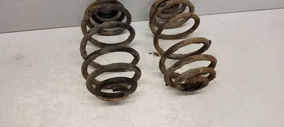 Rear coil spring