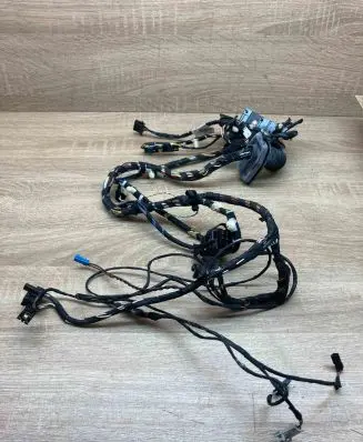 BMW X3 F25 Front door wiring loom 9252376 9147281 WithKeyless