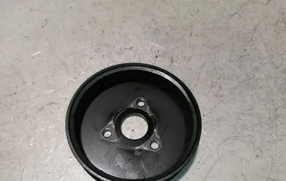 Buick Encore I Water pump pulley 25195055